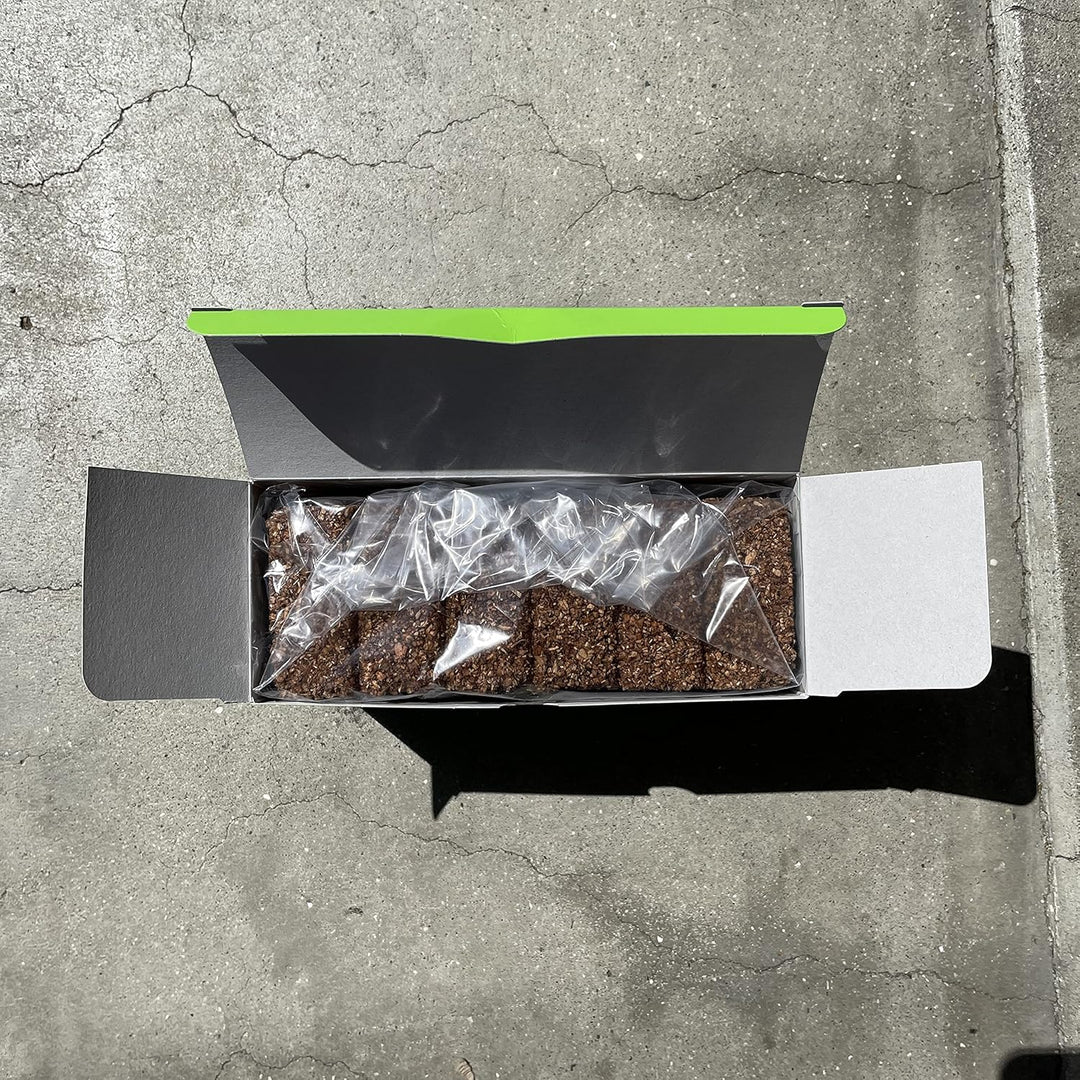 着火材 6回分×10シート (10箱)